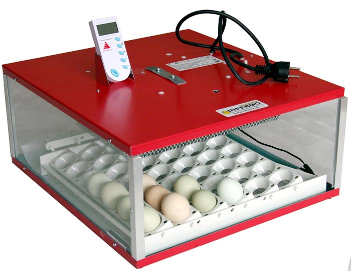 inkubator automatyczny